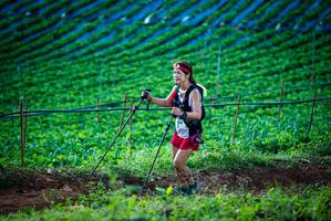 BIB: 6440
                            <button type="button" onclick="openModal(19160153)" class="btn btn-primary btn-sm float-right btn-popup" data-toggle="modal" data-target=".modal-high-quality">
                        <i class="fas fa-shopping-cart"></i> Add to Cart
                    </button>
                                            <button type="button" onclick="isThisMe(19160153, true)" class="btn btn-success btn-sm float-right btn-popup btn-isme hidden" data-toggle="tooltip" data-placement="bottom" title="นี่คือรูปของคุณใช่ไหม คลิกที่นี่เพื่อเอาเข้าอัลบั้ม">
                        <i class="fas fa-plus"></i> Add to album
                    </button>
                    <button type="button" onclick="isThisMe(19160153, false)" class="btn btn-warning btn-sm float-right btn-popup btn-isnotme hidden">
                        <i class="fas fa-ban"></i> Remove from album
                    </button>